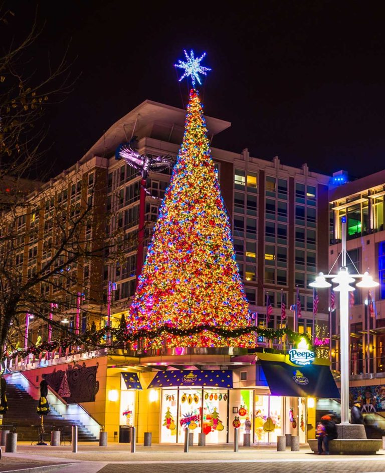 A Guide to Choosing the Perfect Christmas Tree Decorations